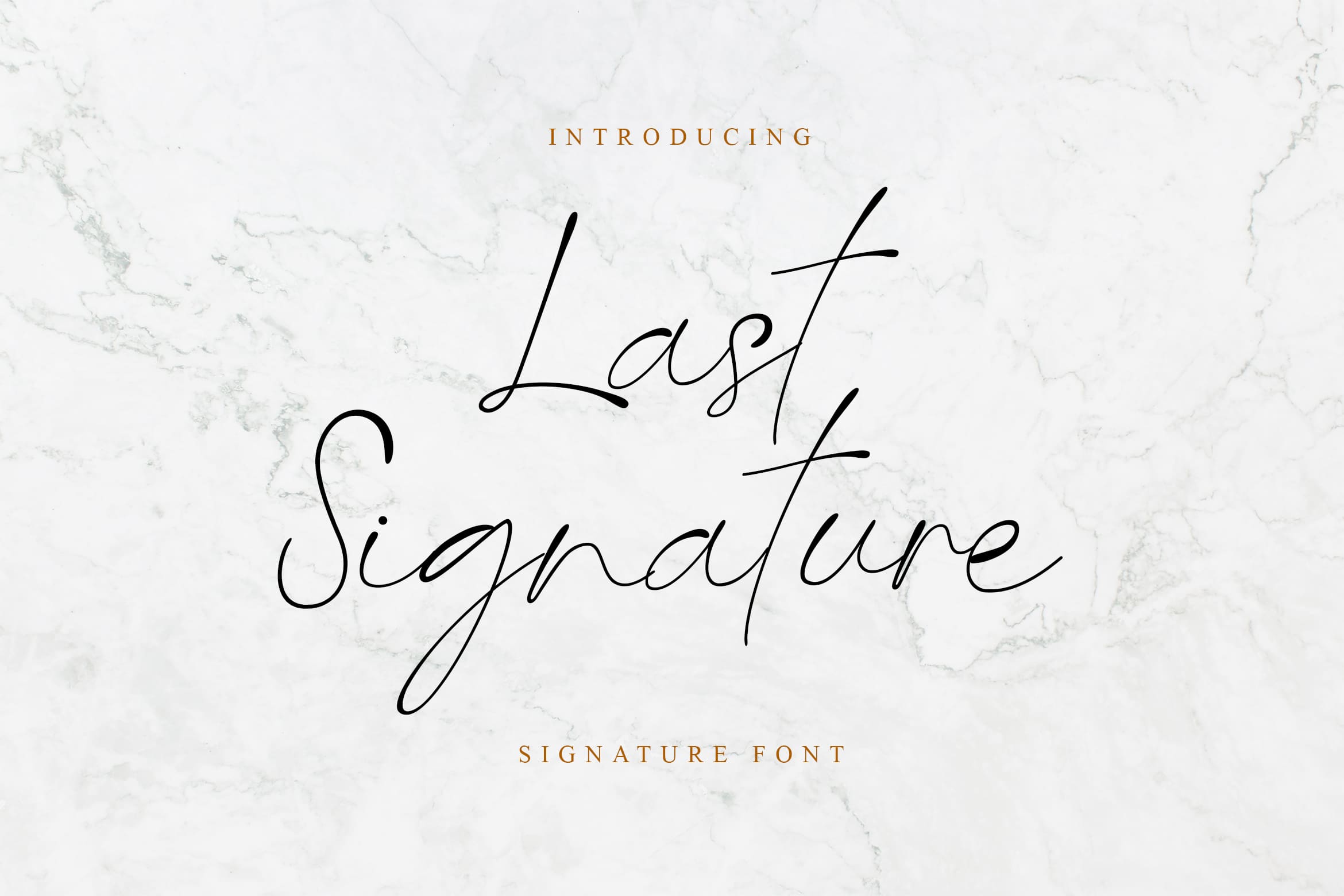Example font Last Signature #1